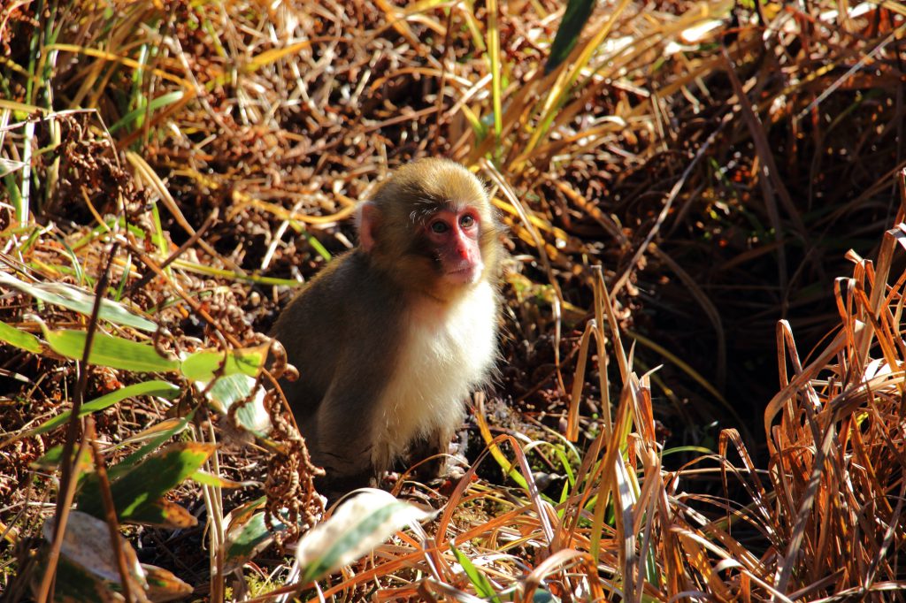 IMG_3359-1024x682.jpg IMG_3359-1024x682.jpg