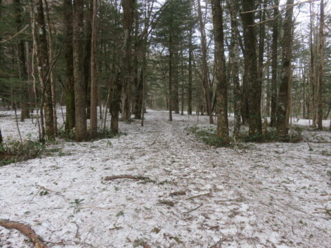 上高地・残雪の遊歩道