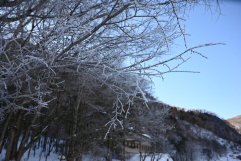 冬の上高地・穂高連峰と樹霜