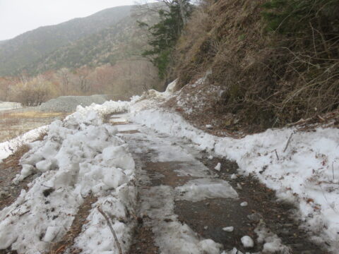 上高地・徳沢方面遊歩道4月の積雪