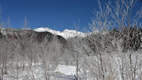 冬の上高地・樹霜と穂高連峰