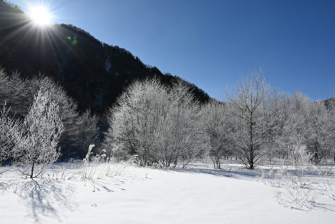冬の上高地・雪景色と樹霜