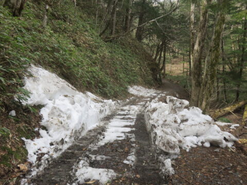 4月の上高地の遊歩道積雪情報