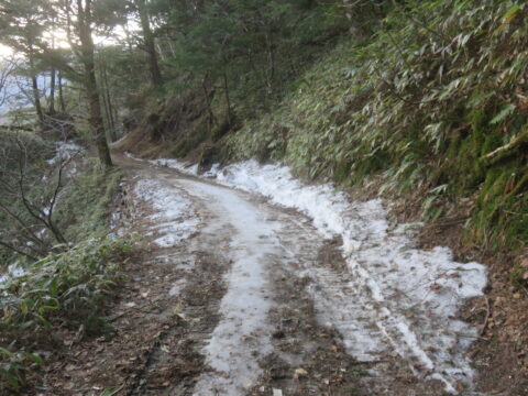 上高地の4月の遊歩道・残雪あり