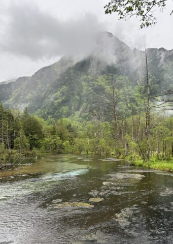 もやのかかる六百山と岳沢湿原