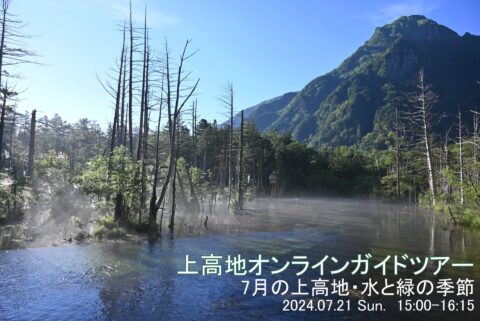 オンラインガイド7月サムネイル