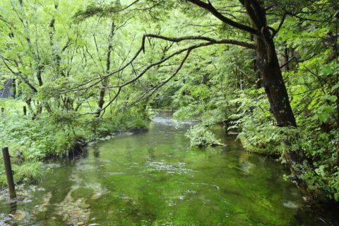 清水橋から臨む清水川