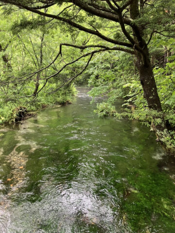 上高地の清水川