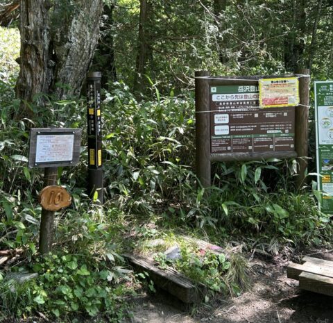 岳沢登山口