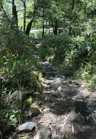 岳沢登山道