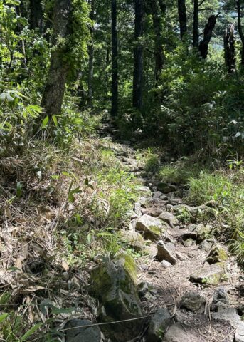 岳沢登山道