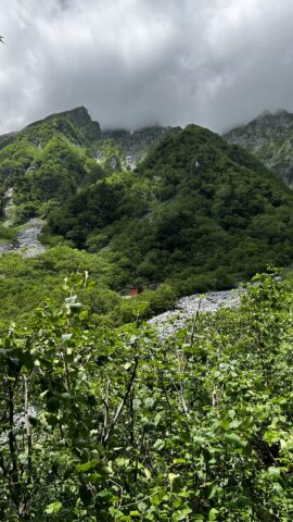 岳沢登山道