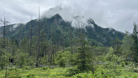 湿原の緑と六百山