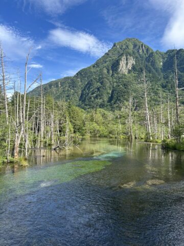 岳沢湿原から望む六百山