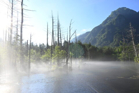 上高地・岳沢湿原の朝もや