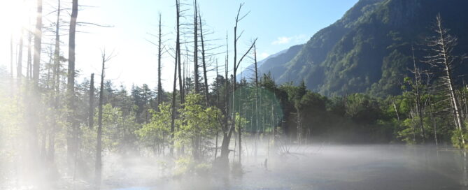 上高地・岳沢湿原の朝もや