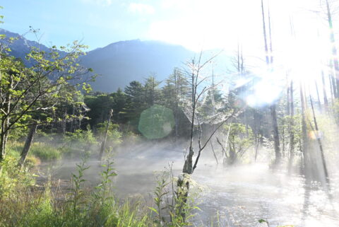 上高地・岳沢湿原の朝もや２