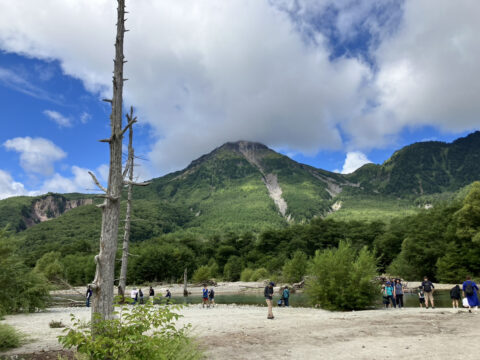 立ち枯れと焼岳