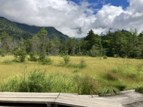 田代湿原の風景