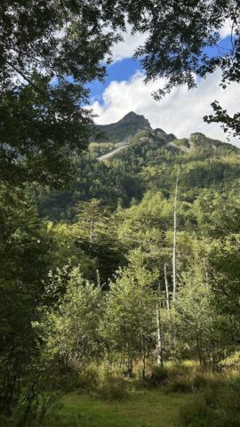 木道から見上げる明神岳第五峰