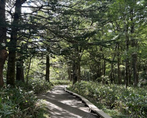 明神右岸遊歩道