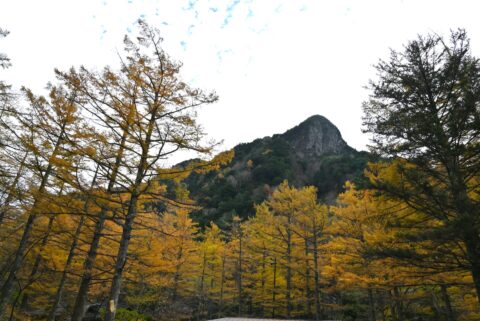 上高地の六百山とカラマツの黄葉