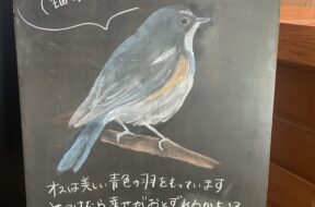 【上高地コラム】描いて伝える上高地の魅力