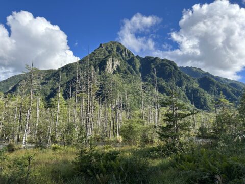 岳沢湿原と六百山