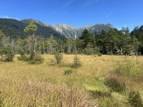 9月の岳沢湿原