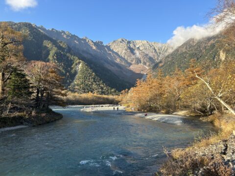 11月3日のカラマツの黄葉