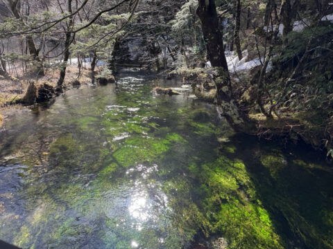 上高地の清水川