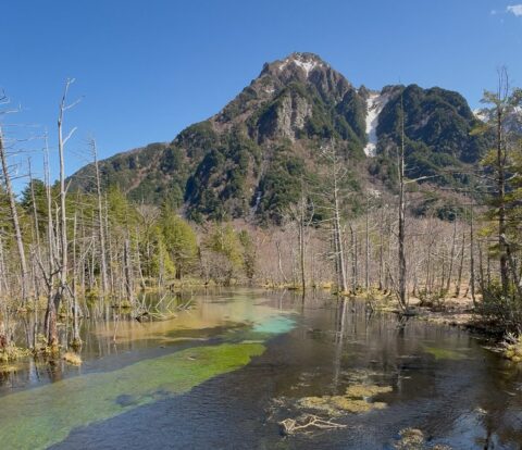 上高地・岳沢湿原から見る湧水と六百山