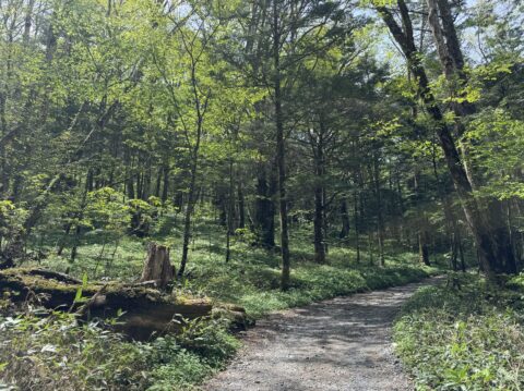 上高地明神左岸道