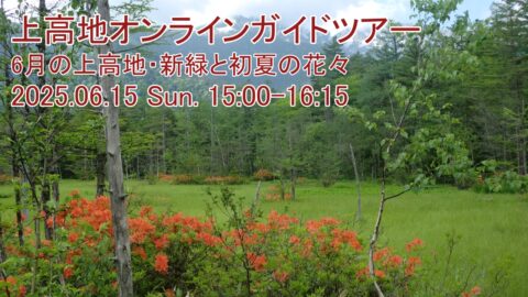 上高地オンラインガイドツアー2025年6月
