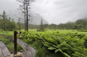 【2025年6月】必見！上高地の梅雨の楽しみ方ガイド！