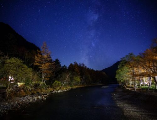 【お子様連れ必見！】上高地で見える星空をご紹介します。