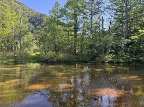 上高地にある田代池