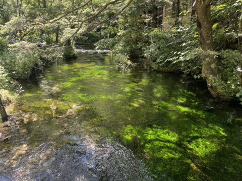 上高地で撮影した上高地・清水川