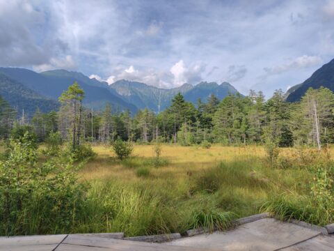上高地・田代湿原の秋