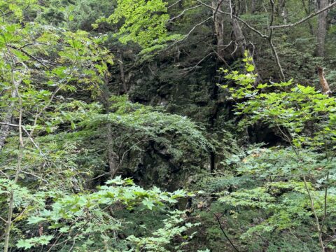 上高地・清水川沿いの溶結凝灰岩