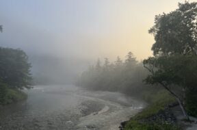 朝の上高地を歩こう！6時出発の早朝ガイドで体験する特別な1時間