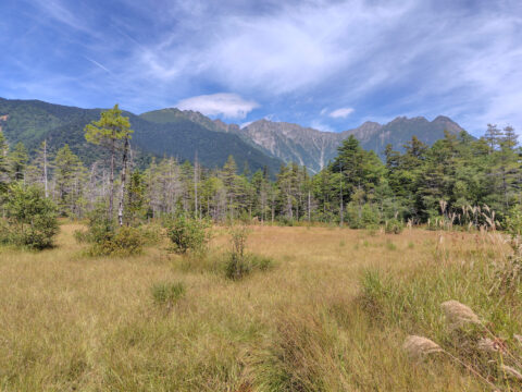 上高地・田代湿原の秋