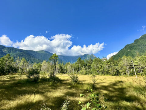 2025年 秋の田代湿原
