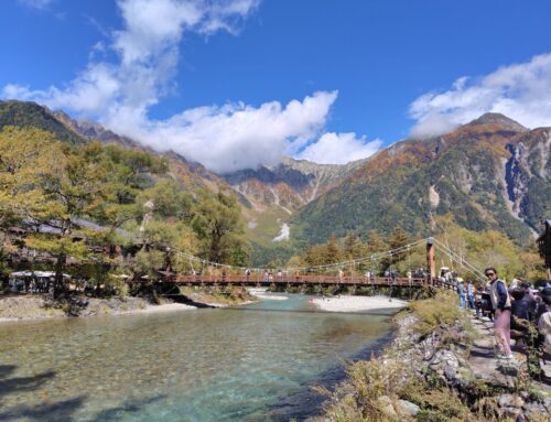【長野県・上高地の紅葉2025】カエデが間もなく見頃です