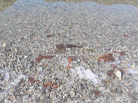 上高地・大正池の氷