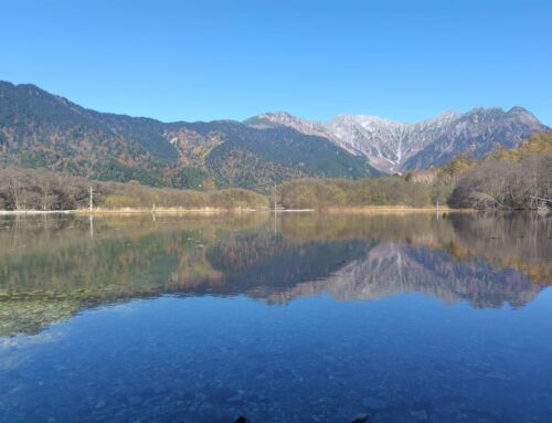 上高地の朝は氷点下&カラマツ黄葉は8分ほど
