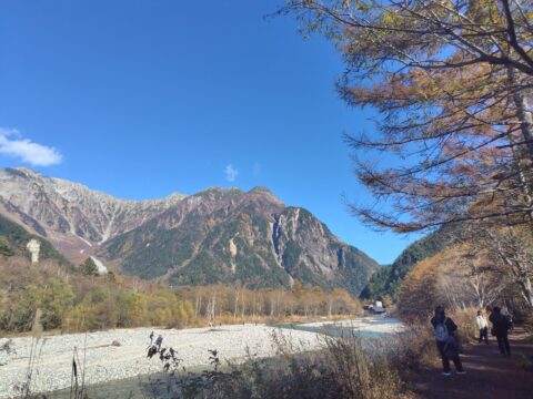 上高地・カラマツ黄葉と穂高連峰
