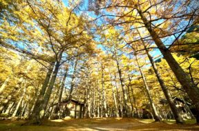 【長野県・秋の紅葉】上高地の見頃や名所を紹介します
