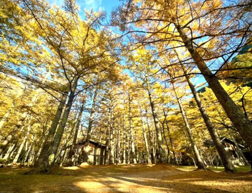 【長野県・秋の紅葉】上高地の見頃や名所を紹介します
