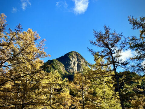 10月下旬　上高地　六百山とカラマツ